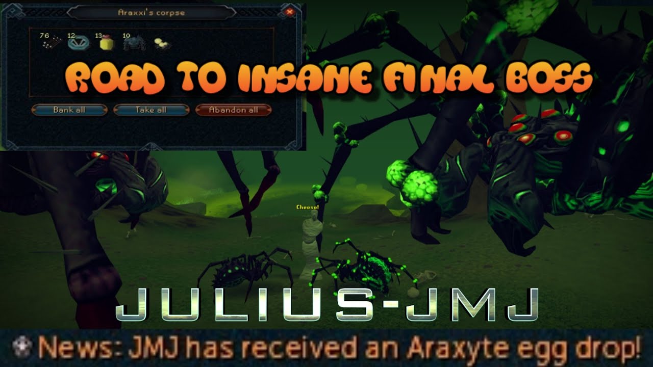 Insane Final Boss : Episode 8 - Araxxor