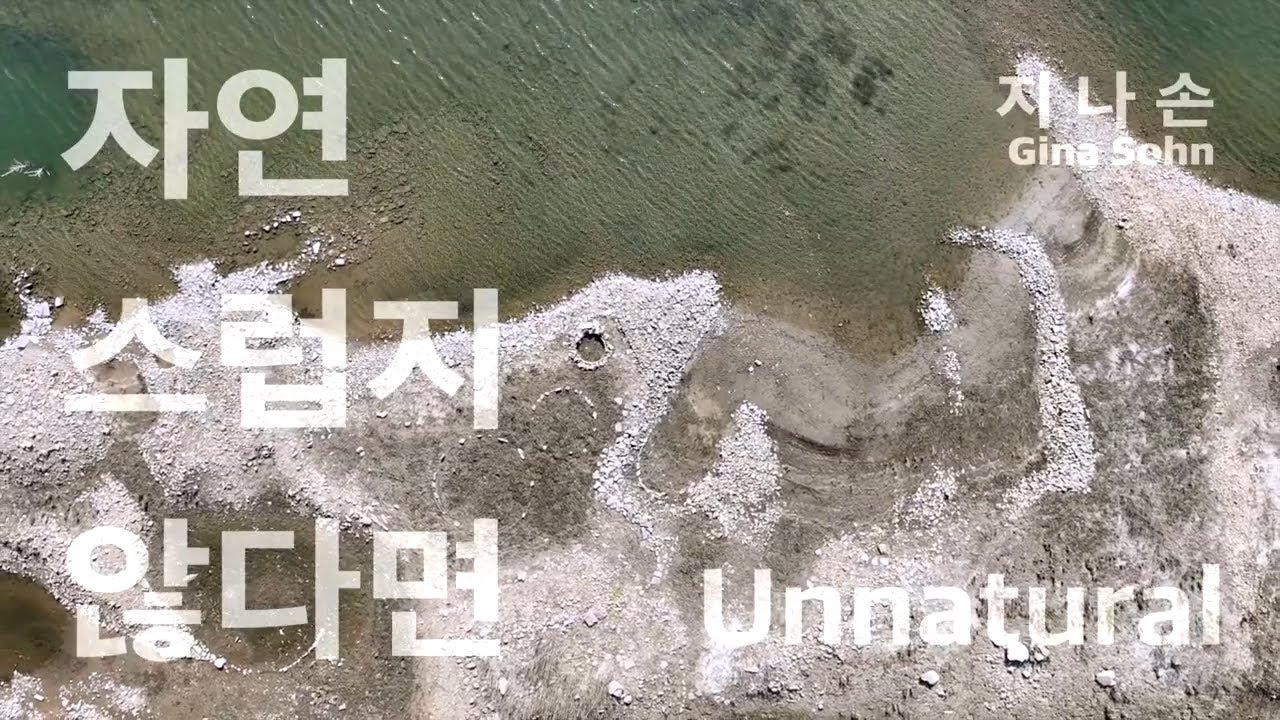 2025 대청호 환경미술제 《자연스럽지 않다면》 | 작가 인터뷰 #6 | 지나손