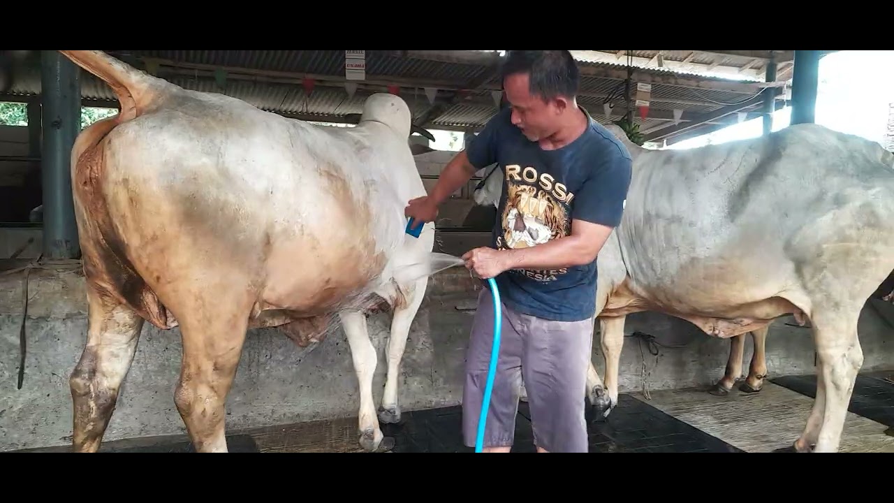 Cari keringet kita. 