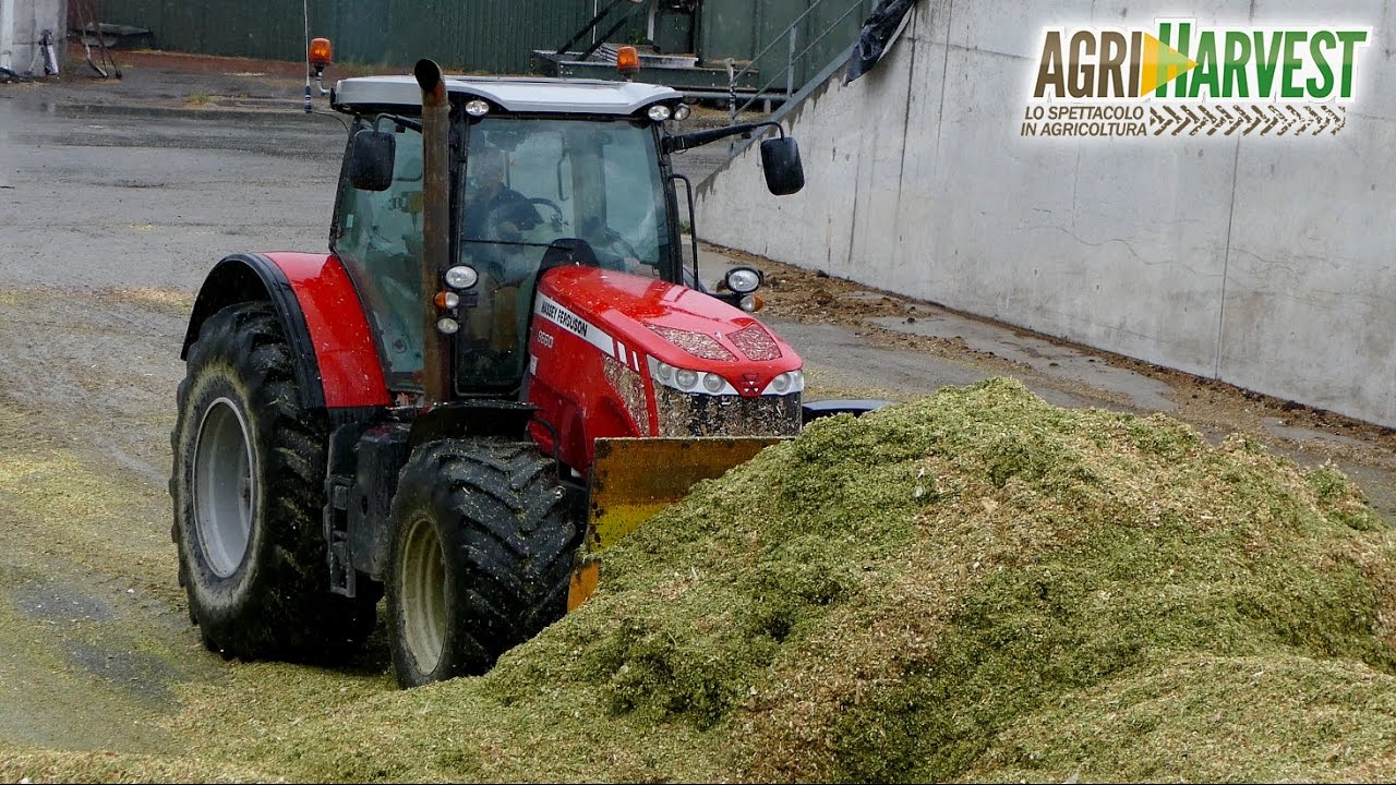 Massey Ferguson 8660 on Silage Pit | Motor Sound | Under The Rain | 4K