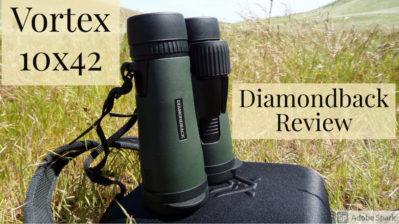 Vortex Diamondback 10x42 Binoculars