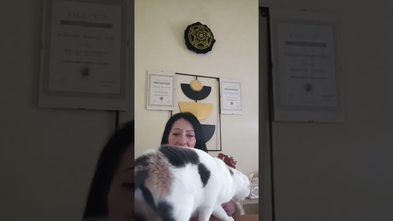 Ultima încercare de împăcare...sau ultimul scandal?Un nou plan#tarot#viral