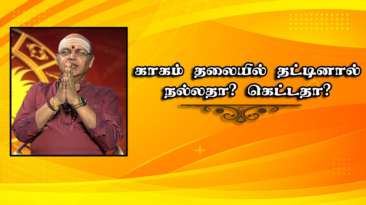 காகம் தலையில் தட்டினால் நல்லதா? கெட்டதா?