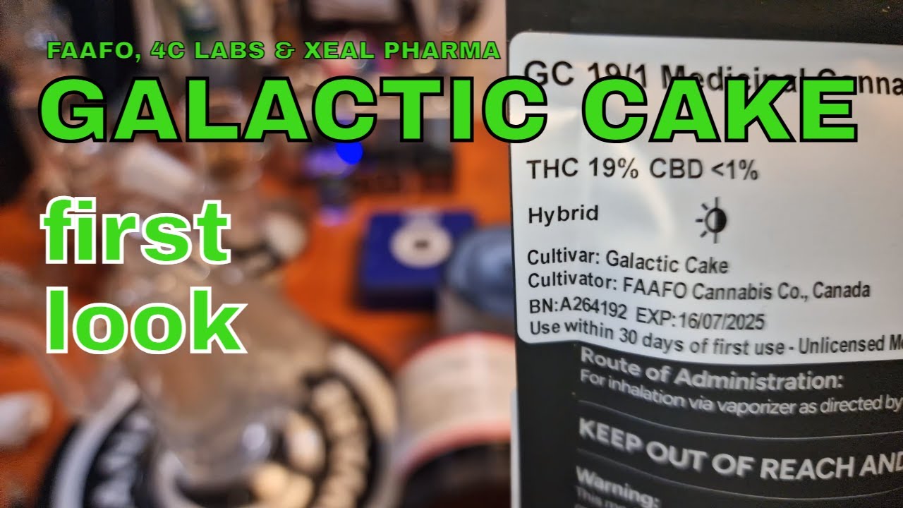 GALACTIC CAKE | FAAFO, 4C Labs & Xeal Pharma | FIRST LOOK