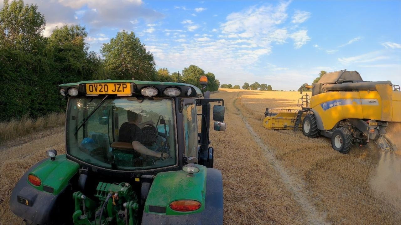 Corn Carting UK Wheat Harvest 2025 Part 2