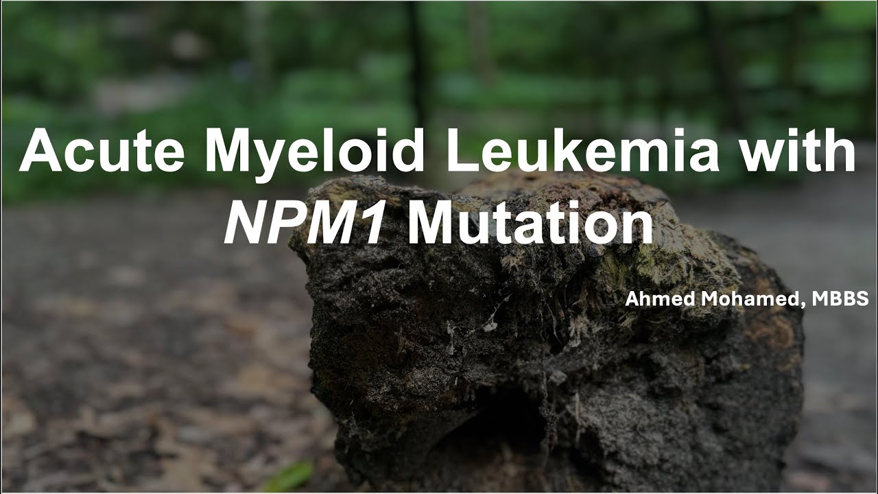 Understanding Acute Myeloid Leukemia with NPM1 Mutation: A Comprehensive Guide