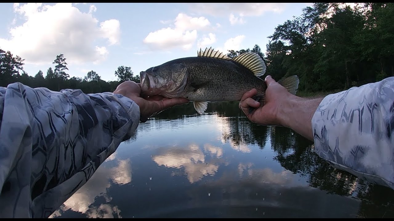 New Bait Challenge (Spinner bait, Whale, and Hellgrammite) the Bite made me JUMP