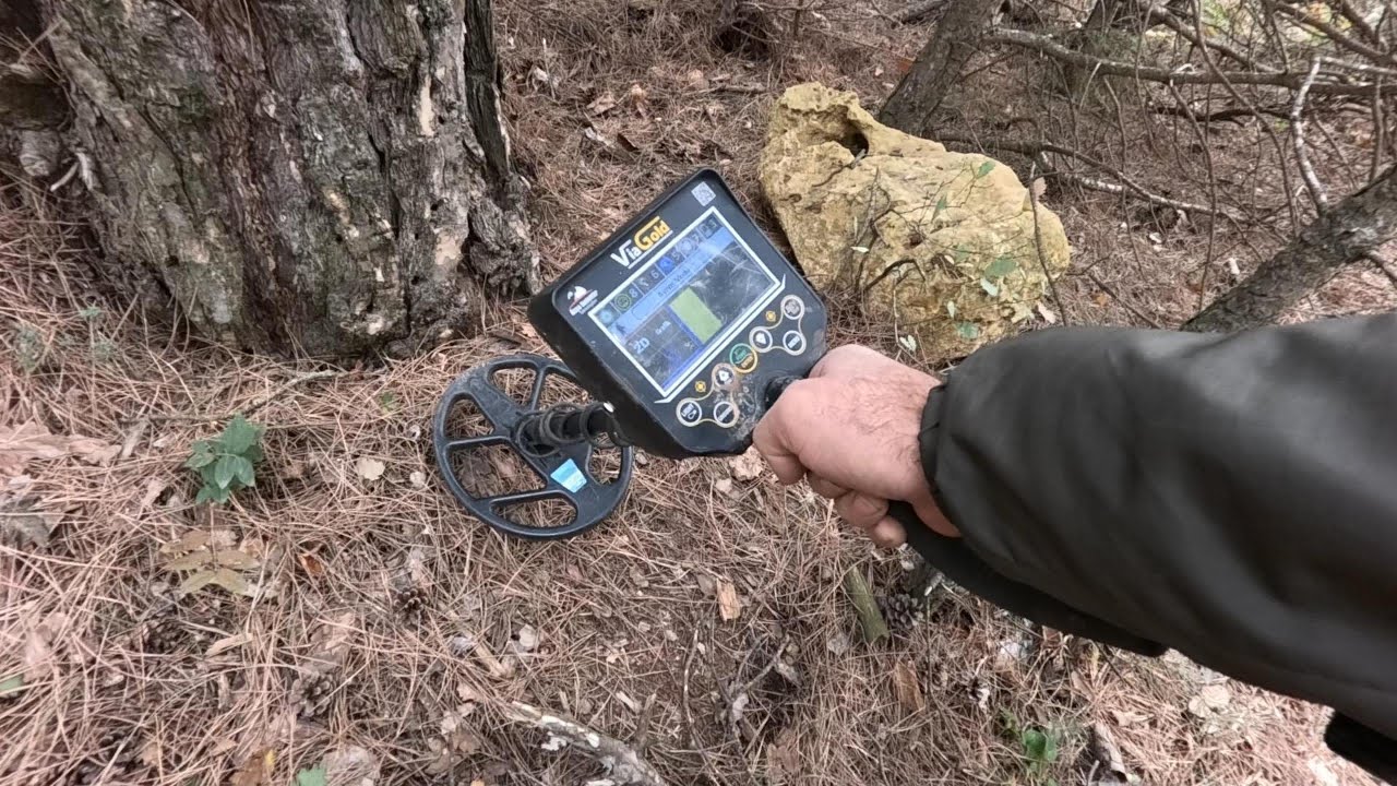 Orman Taraması Define Bulma Anı Şaşırttı!