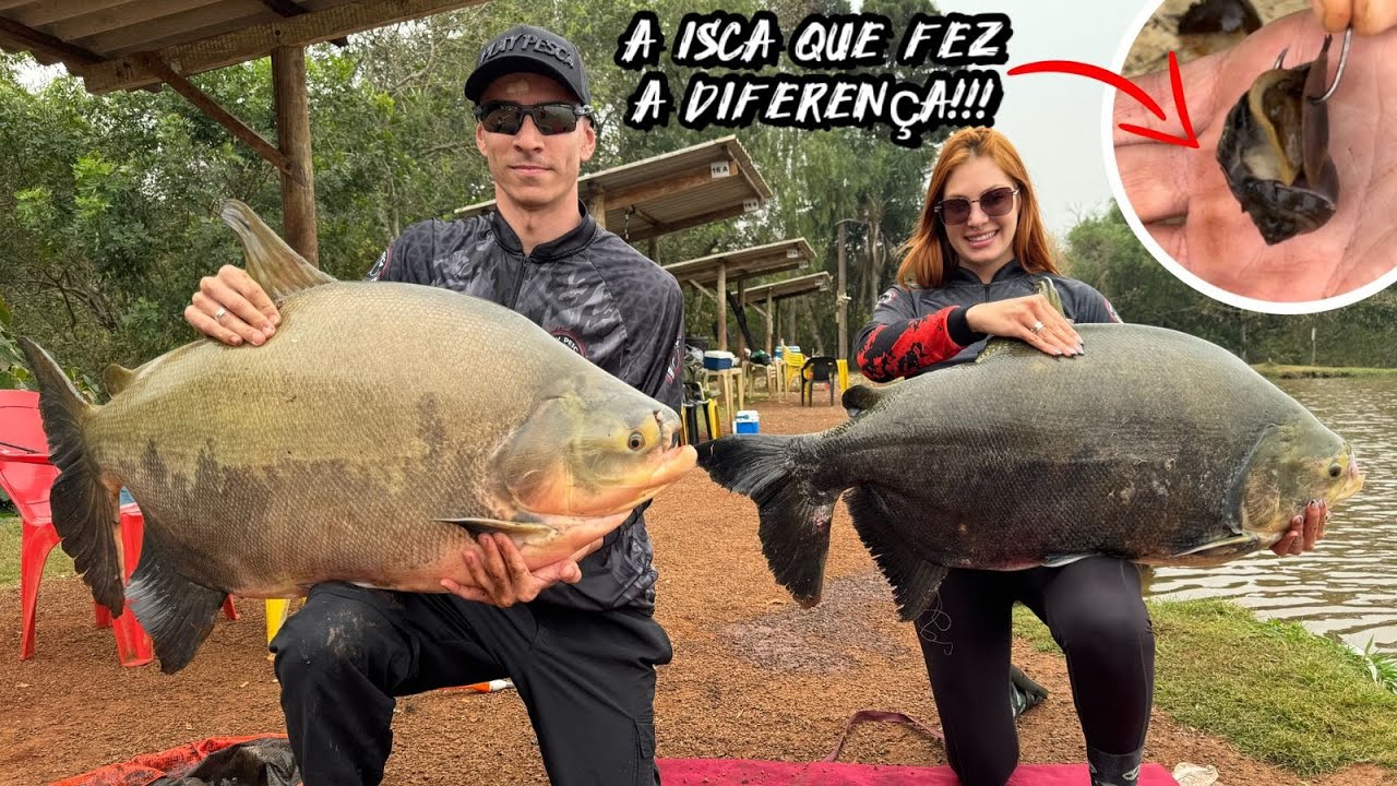 A ISCA QUE SALVOU A NOSSA PESCARIA!!! Pesqueiro Ishikawa