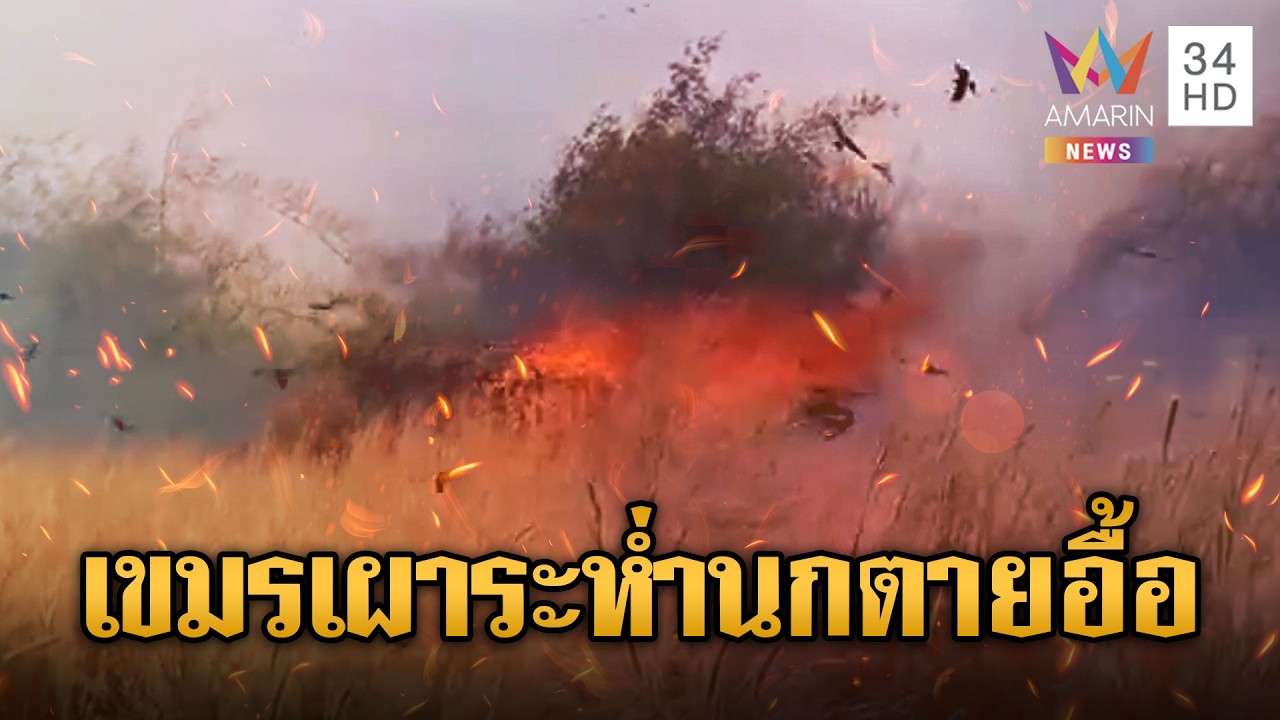 ทหารเขมรเผาไม่เลือก นกนางแอ่นหนีตายอื้อ | ข่าวอรุณอมรินทร์ | 24/02/69