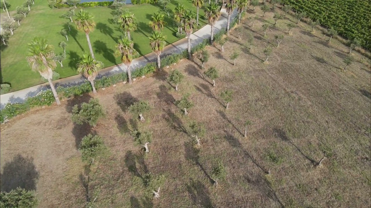 SICILE - Voisinage du Club Lookea Constanza - Vidéo 1'55''
