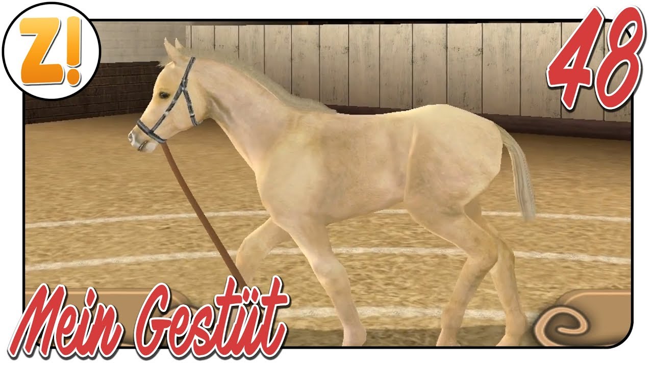 Mein Gest&uuml;t: Pferdepflege Deluxe - Teil 1 #48 |  Let's Play [DEUTSCH]