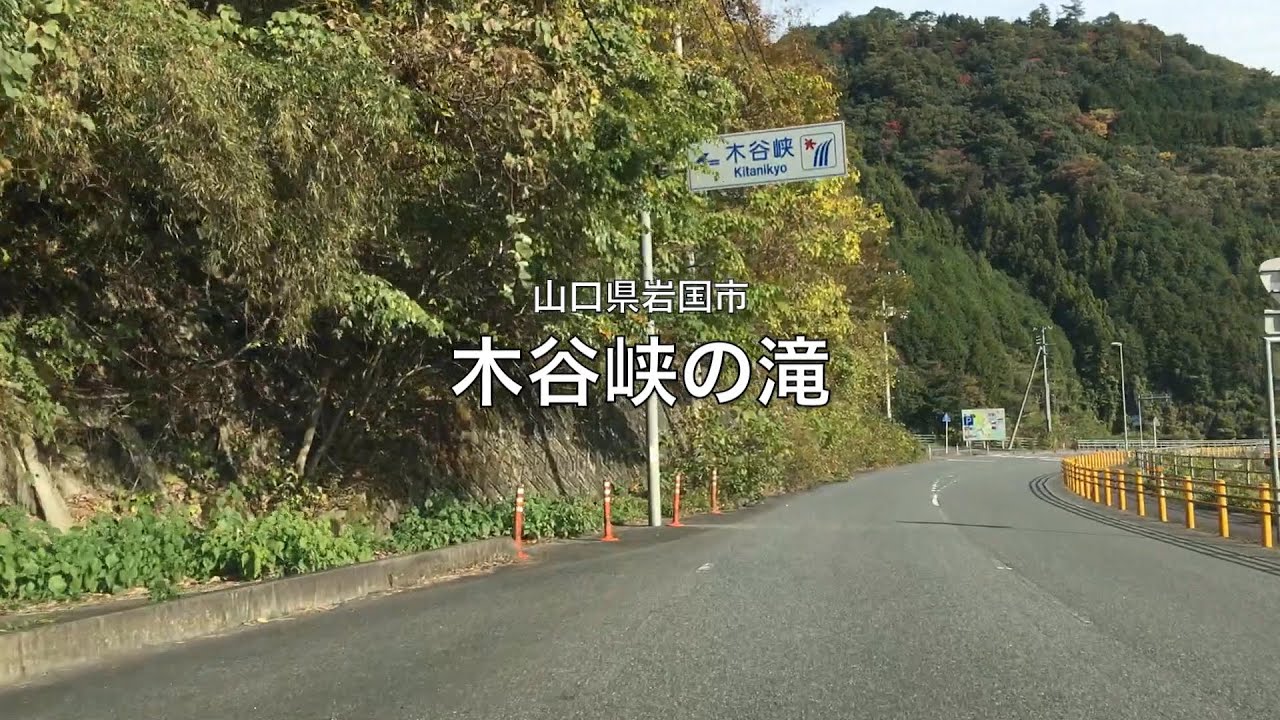 【山口県・岩国市】木谷峡の滝 2020.11 approach