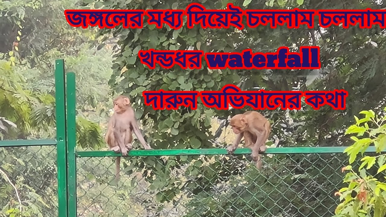 khandadhar nature camp,jungle tracking,beutiful experience
