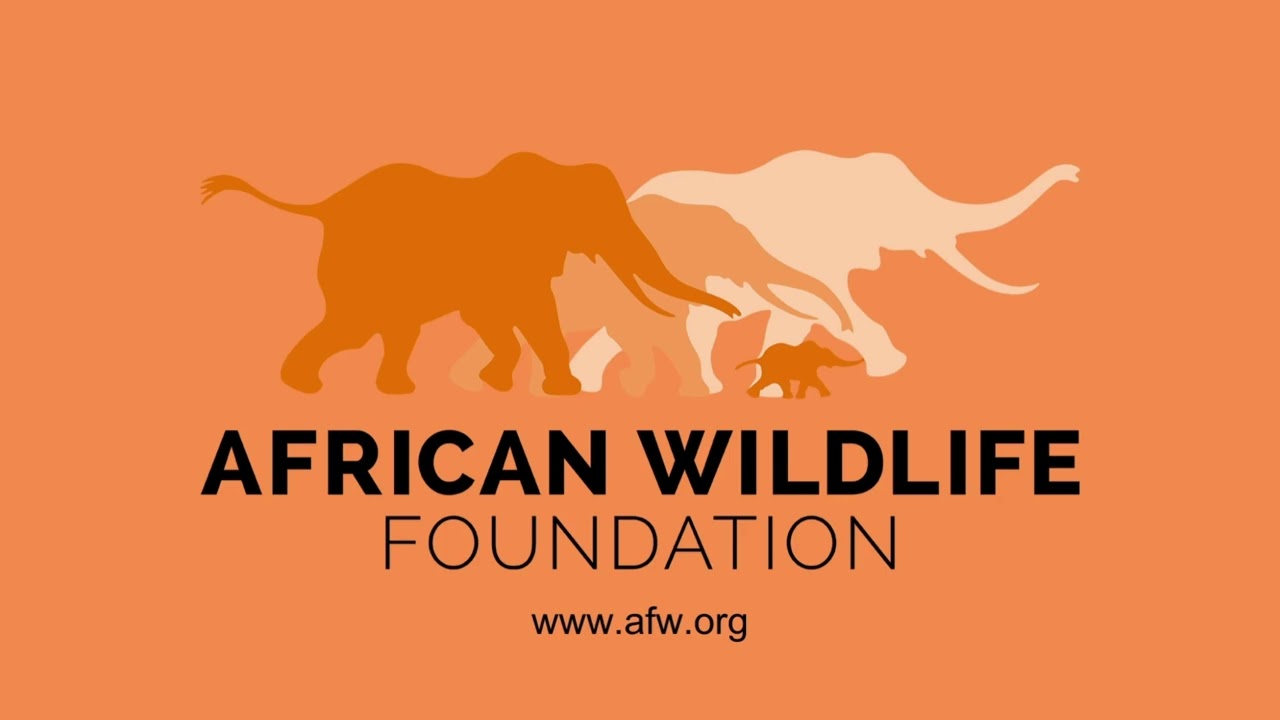 Wild Symphony: A Cinematic Journey with the African Wildlife Foundation