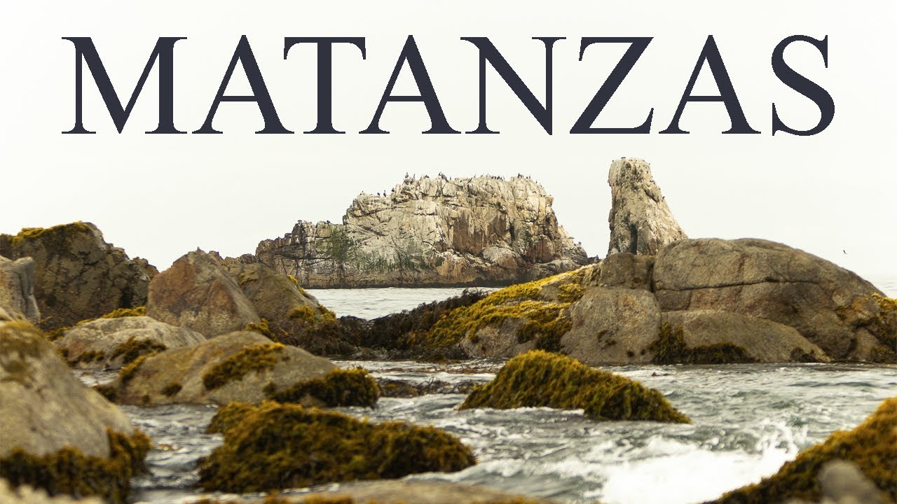 MATANZAS CHILE - Naturaleza 4K - SONIDO AMBIENTAL