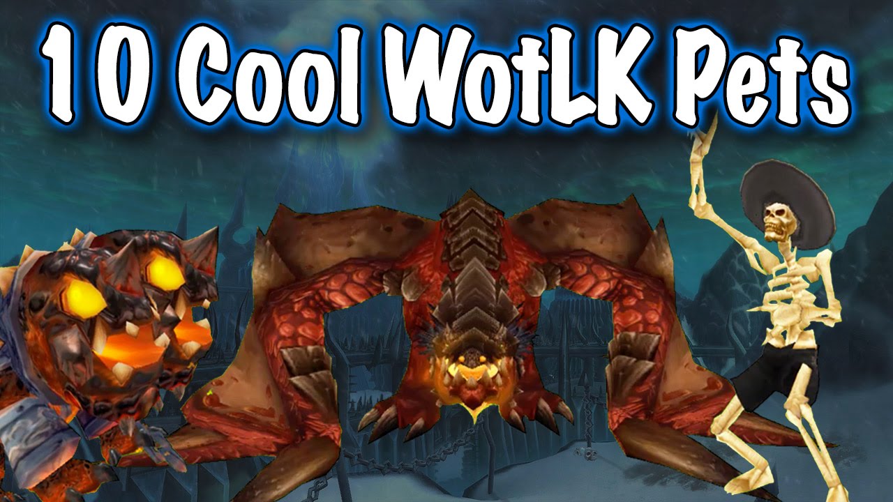 Jessiehealz - 10 Awesome WotLK Pets Display (World of Warcraft)