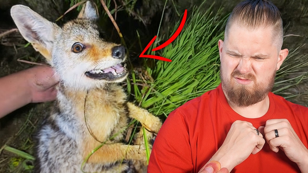 Florida's Craziest Barehanded Wildlife Guy!!!