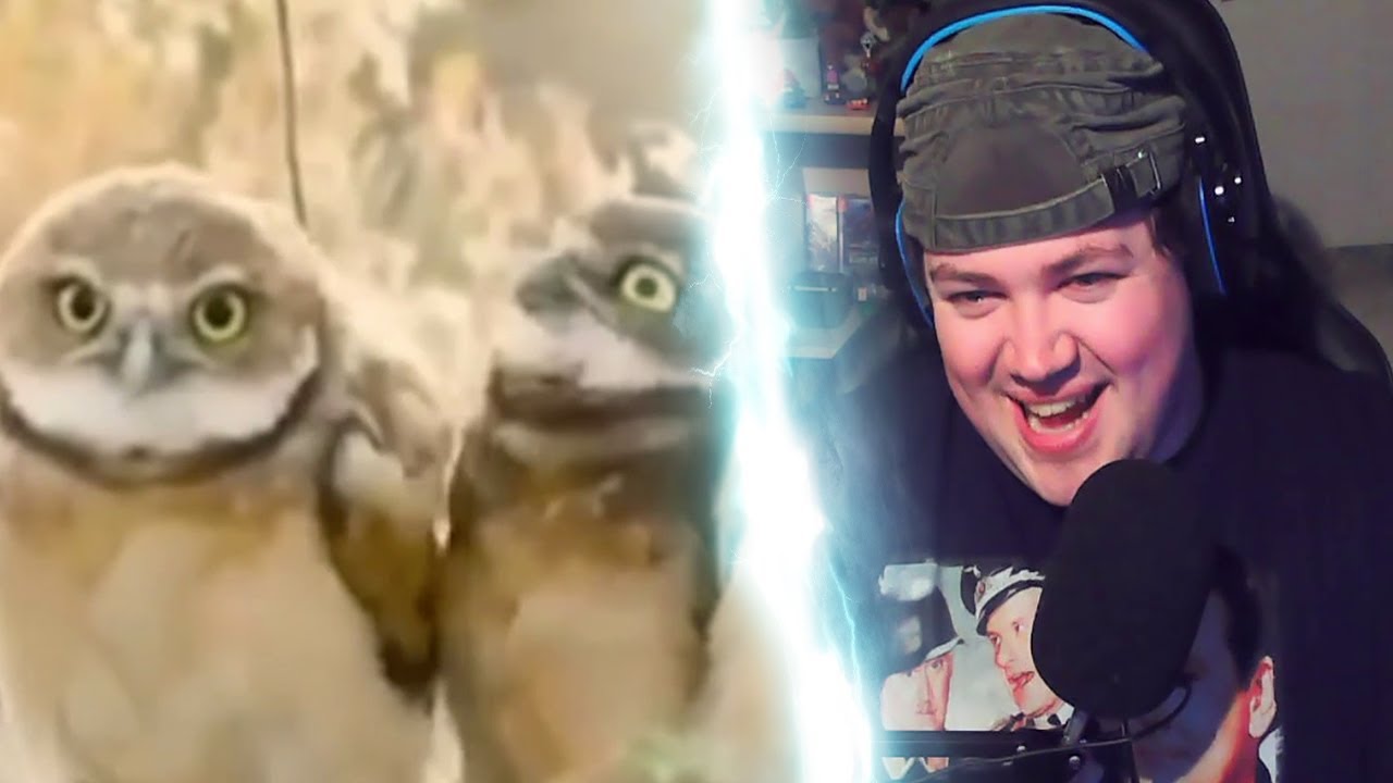 REAKTION auf Was Tiere So Denken Mega 2