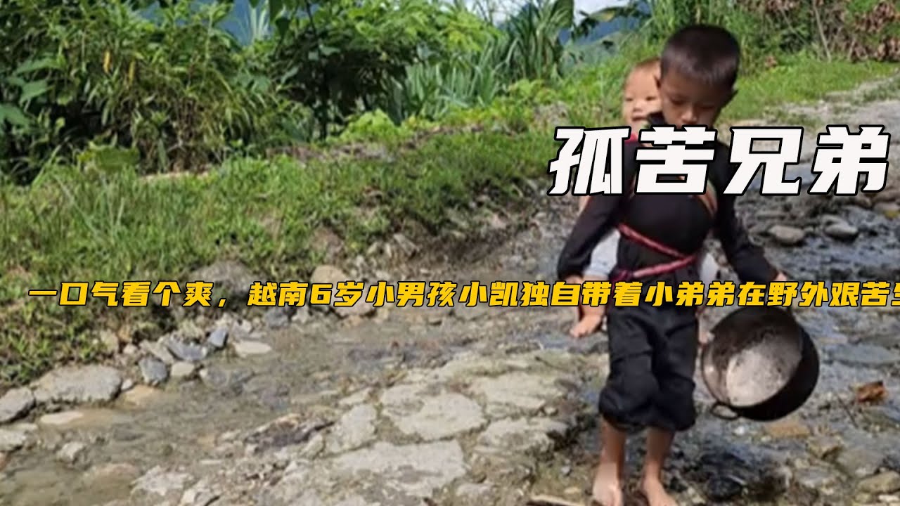 壹口氣看個爽，越南6歲小男孩小凱獨自帶著小弟弟在野外艱苦生活《26-30合集孤苦兄弟》