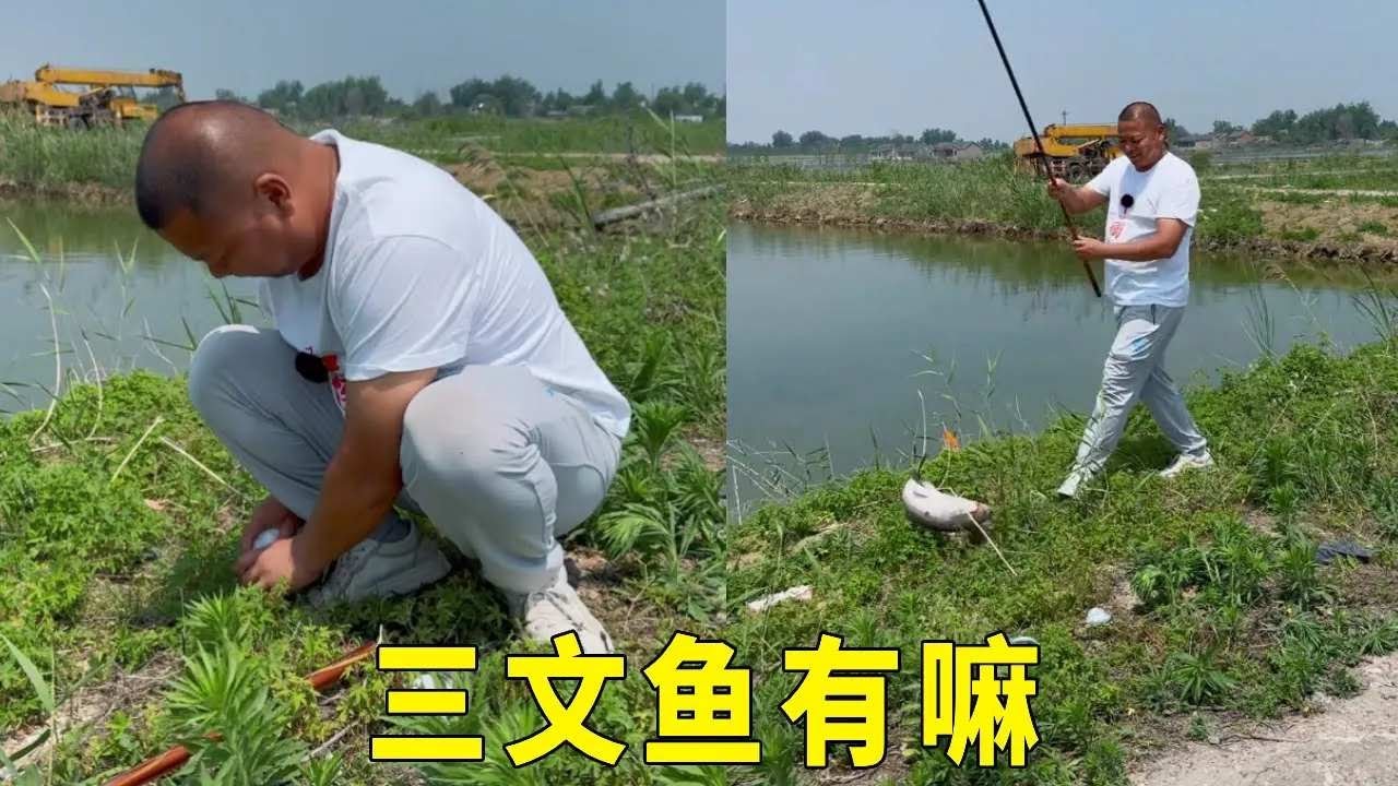 黑坑水库盘嚣张老板，20分钟不到5条大青鱼上钩，老板人都傻了直接不让钓了 #夏天就是要去钓大鱼 #钓