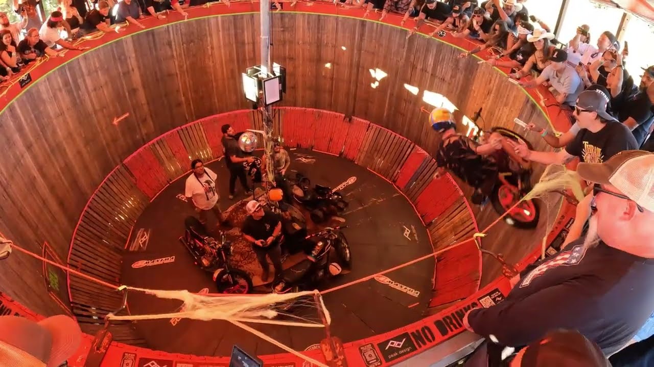 Born Free Texas 2024