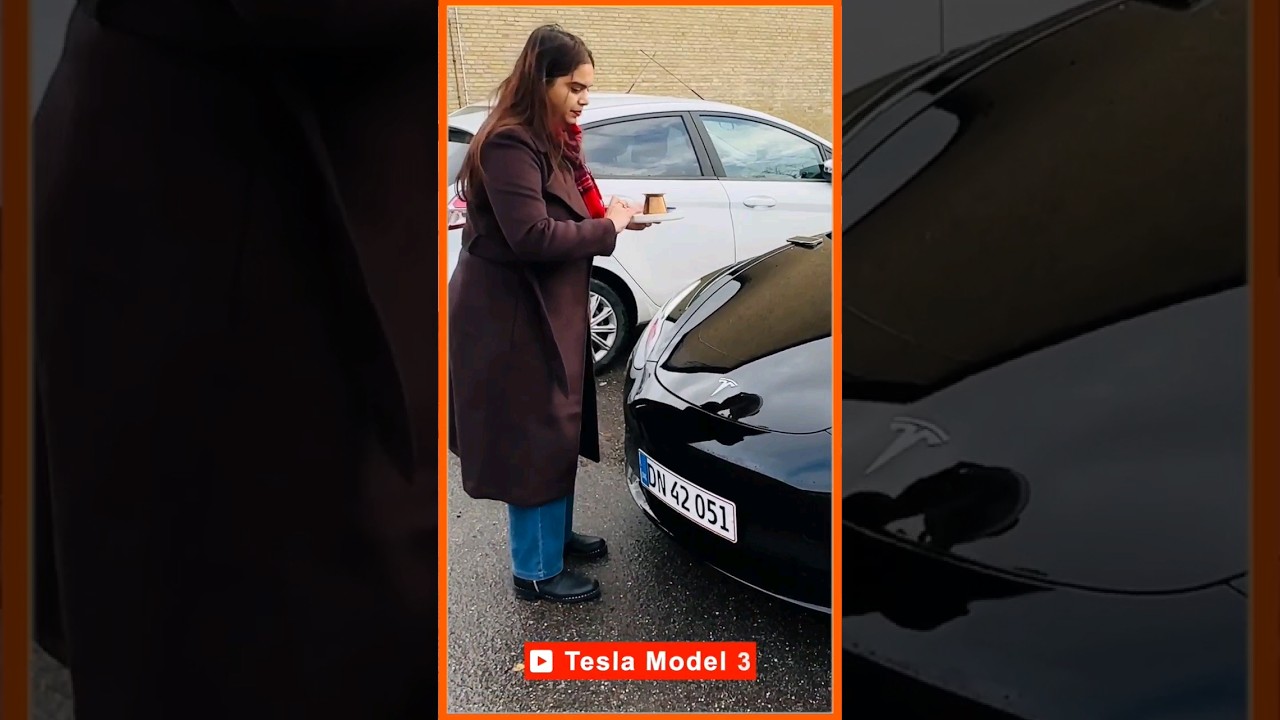 Tesla Car Pooja Ceremony in Denmark - Indian Tradition & Spiritual Blessing