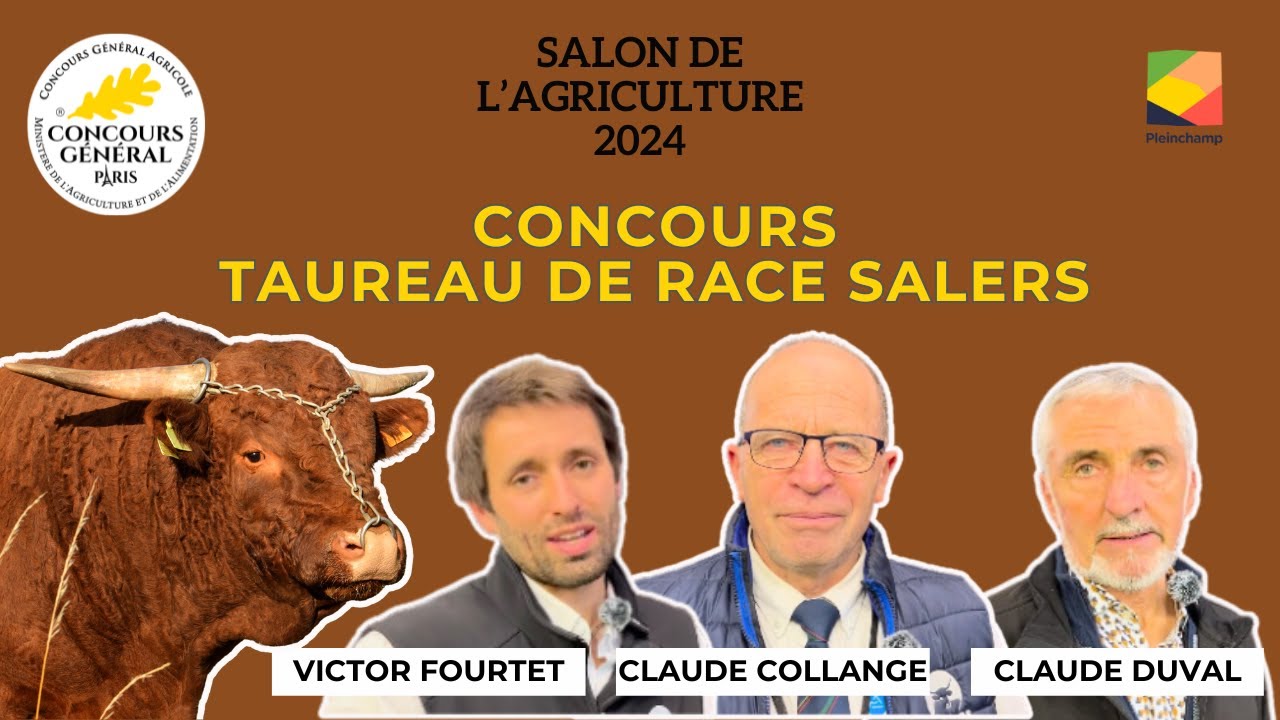 [SIA 2024] Rencontre avec les multi-champions : les taureaux de race salers.