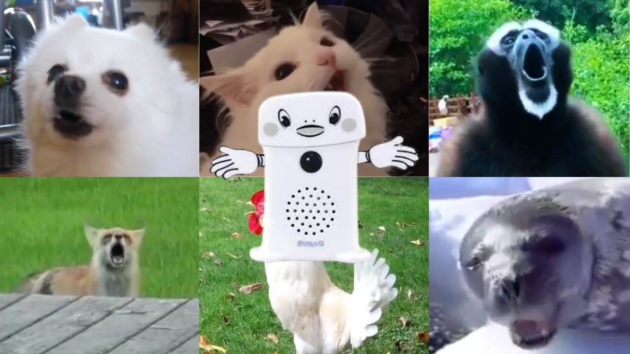 『呼び込み君』を動物さんたちが歌ってくれたよ