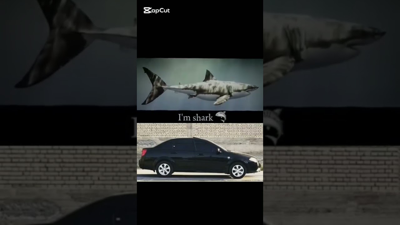 Nexia 2 vs gentra #automobile