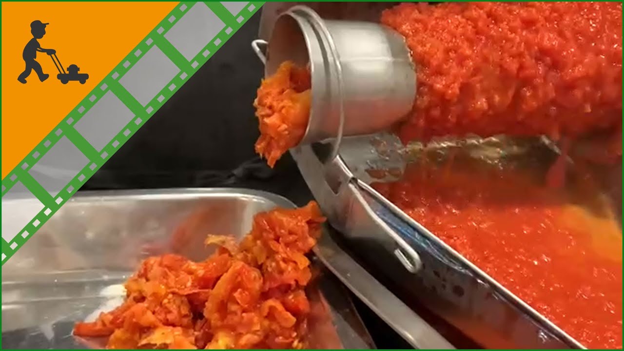 Passapomodoro elettrico Palumbo Pavi SM 3 INOX: montaggio e funzionamento