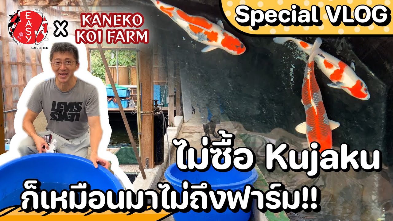 บุกบ้านเกิด “ตันโจคุจากุ” สวยทั้งปลา สวยทั้งวิว ฟินจริงจัง - Special VLOG EZ in Japan EP.2
