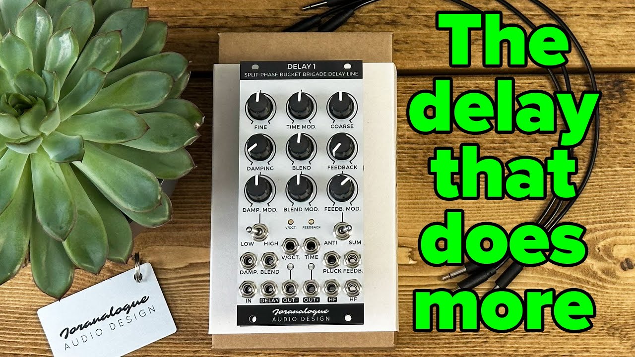 Joranalogue Delay 1 | From chorus to kick drums to Karplus-Strong