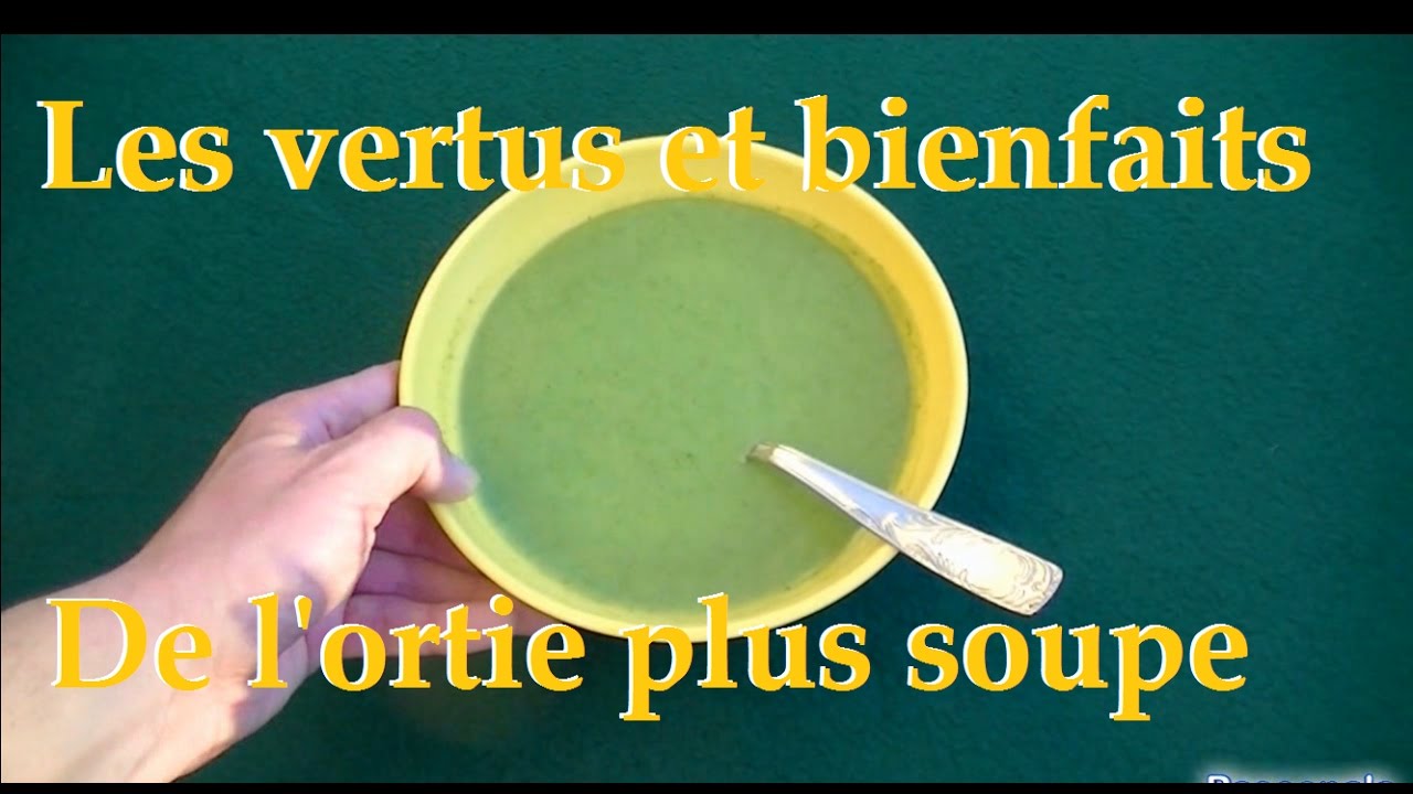 L'ortie, les vertus et les bienfaits pour la santé, plus recette de la soupe aux orties..