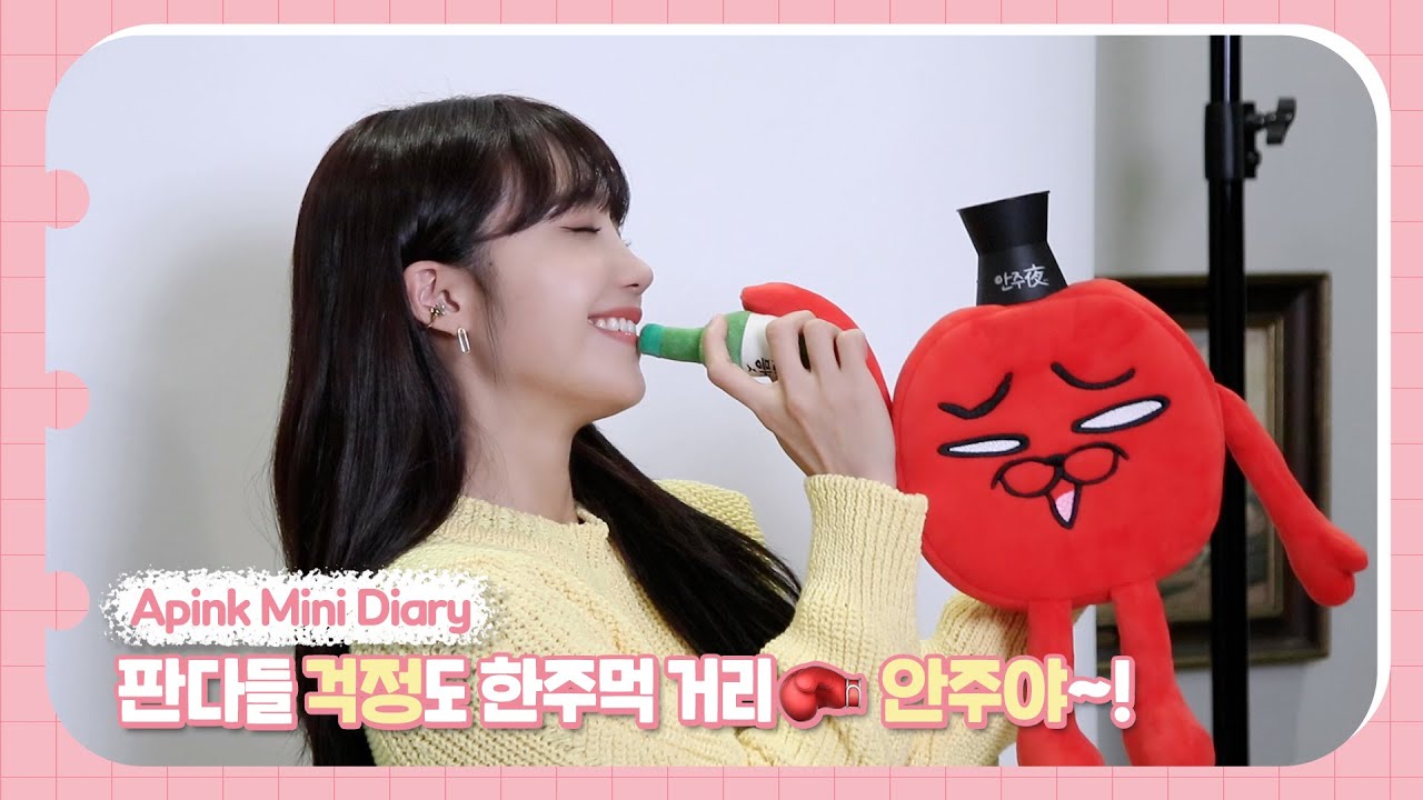 (SUB) Apink Mini Diary - 판다들 걱정도 한주먹 거리🥊 안주야~!