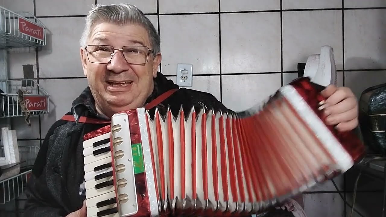 APRENDA A TOCAR NO ACORDEON INFANTIL
