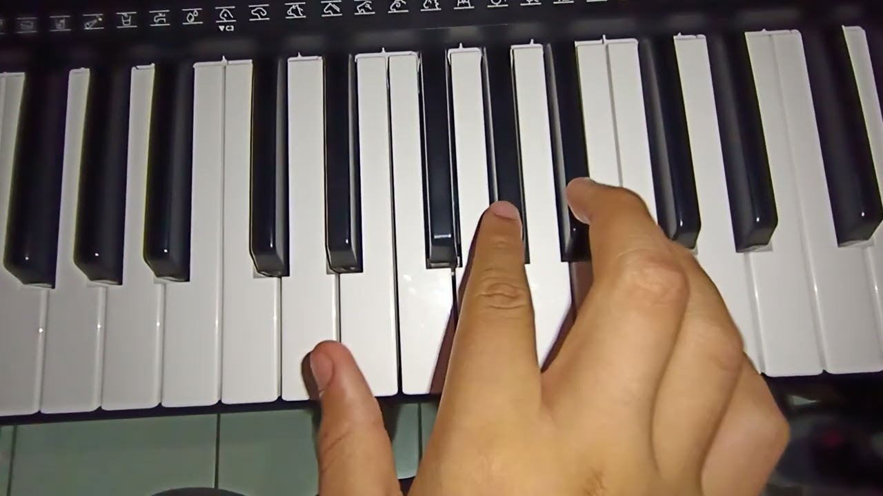 La burrita Nelson Kanzela tutorial teclado + solo