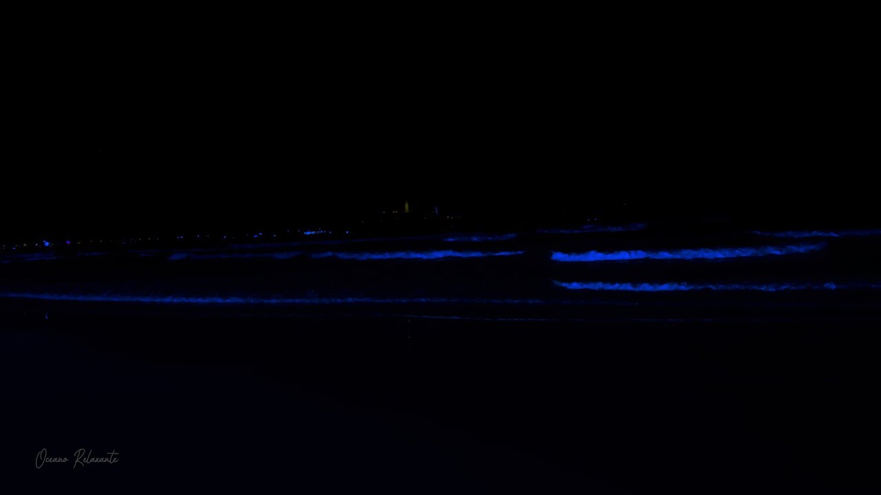 Sleep Better Tonight With Calm Melodies! Relaxing Ocean Sounds at Night at Remove Inner Sadness