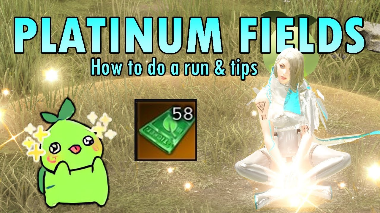 Platinum Field Guide & Tips [ Lost Ark ]