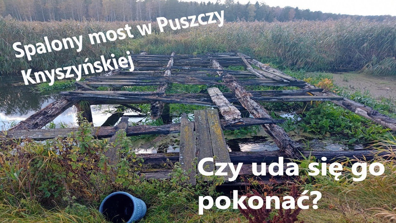 Puszcza Knyszyńska, spalony most  #ParkKrajobrazowyPuszczyKnyszyńskiej, #Supraśl