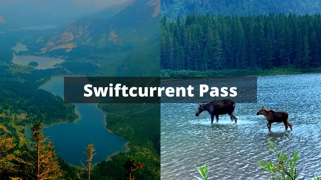 Swiftcurrent Pass Trail | Glacier National Park | Montana