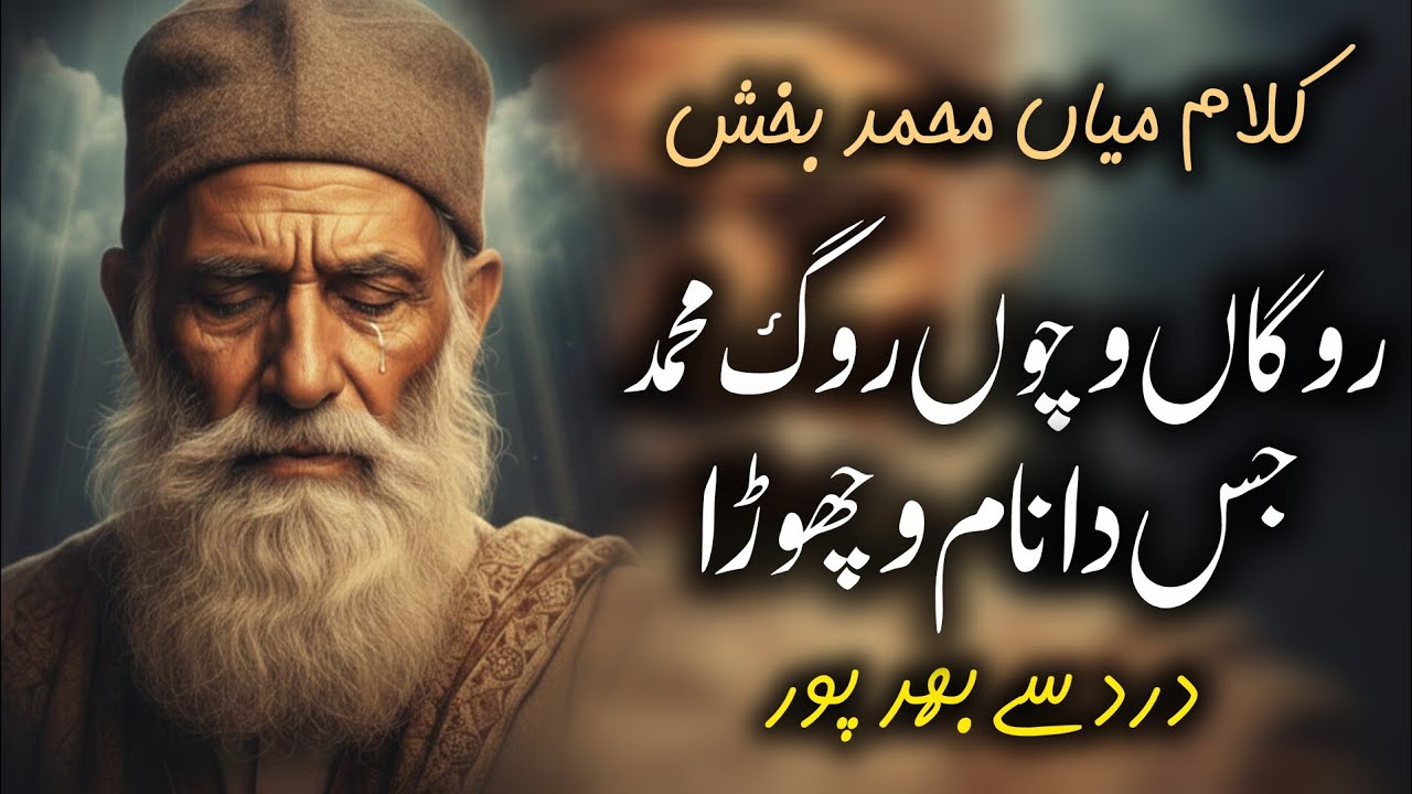 Vichora | Kalam Mian Muhammad Bakhsh | Emotional Sufi Poetry | Saif ul Malook