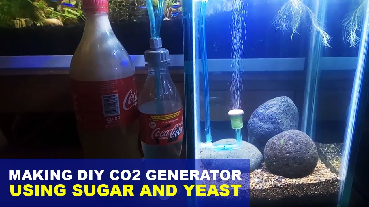 How to make DIY CO2 Generator Using Sugar and Yeast