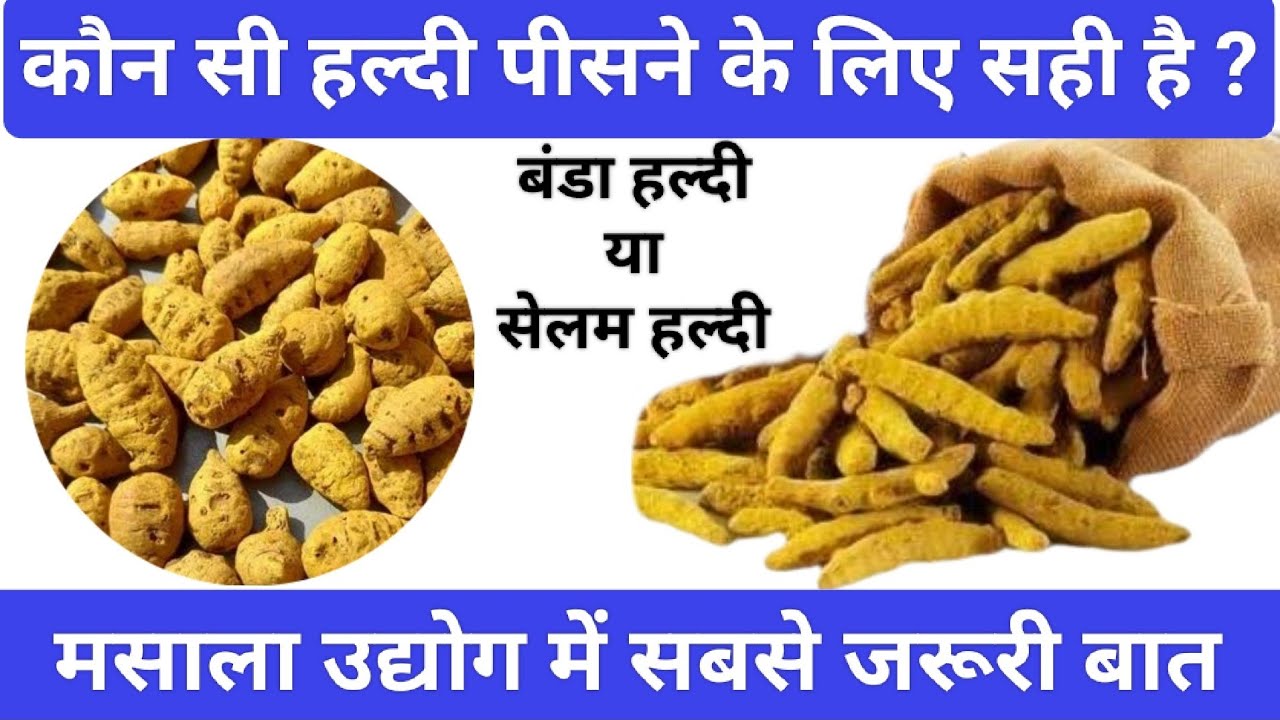 कौन सी हल्दी पिस कर बेचे ? #business #dryfruits #masala #pouch #haldi