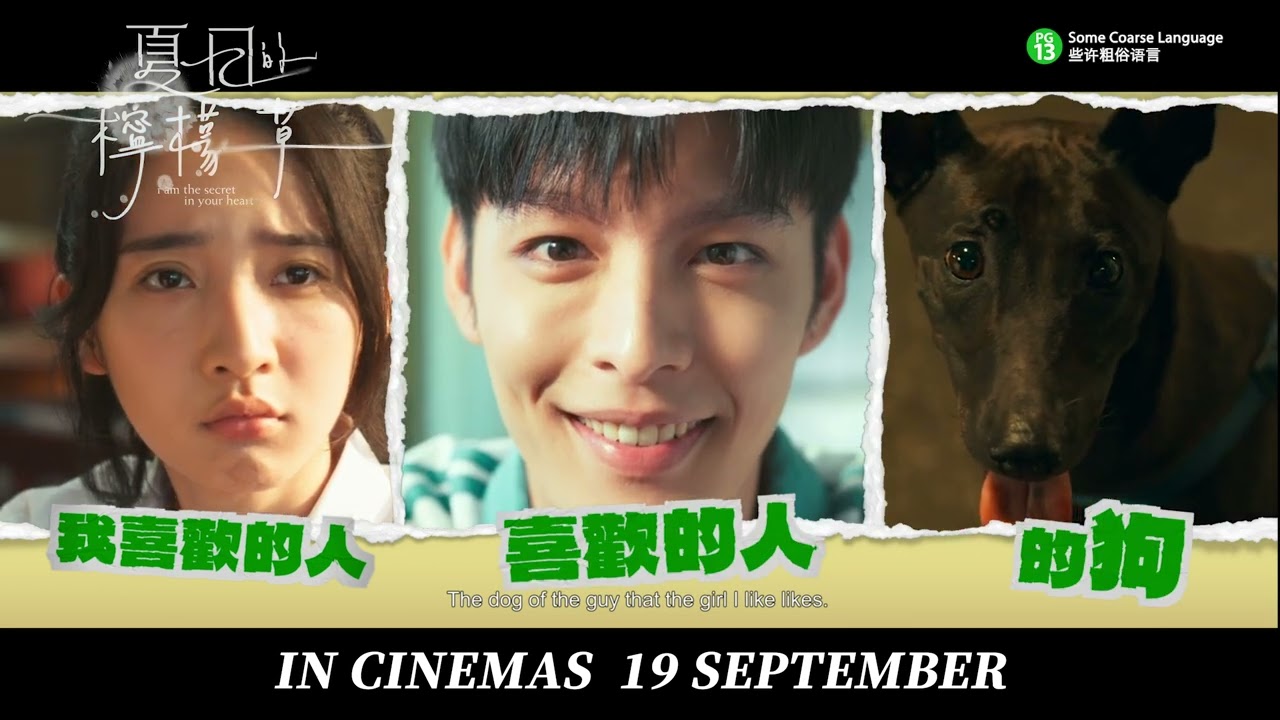 I Am The Secret In Your Heart 《夏日的柠檬草》Trailer | In Cinemas 19 September