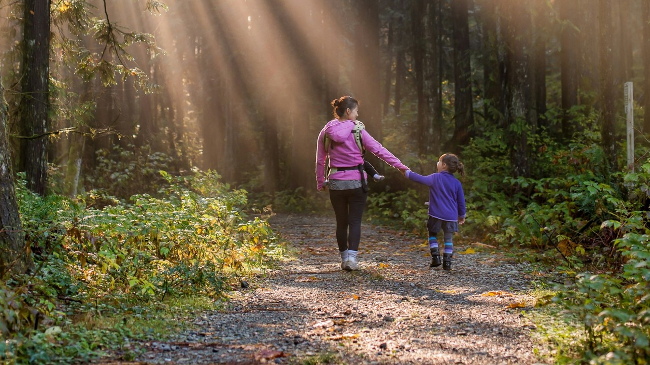 E294: How Do I Set Up a Retirement or Investment Account for My (Minor) Child?