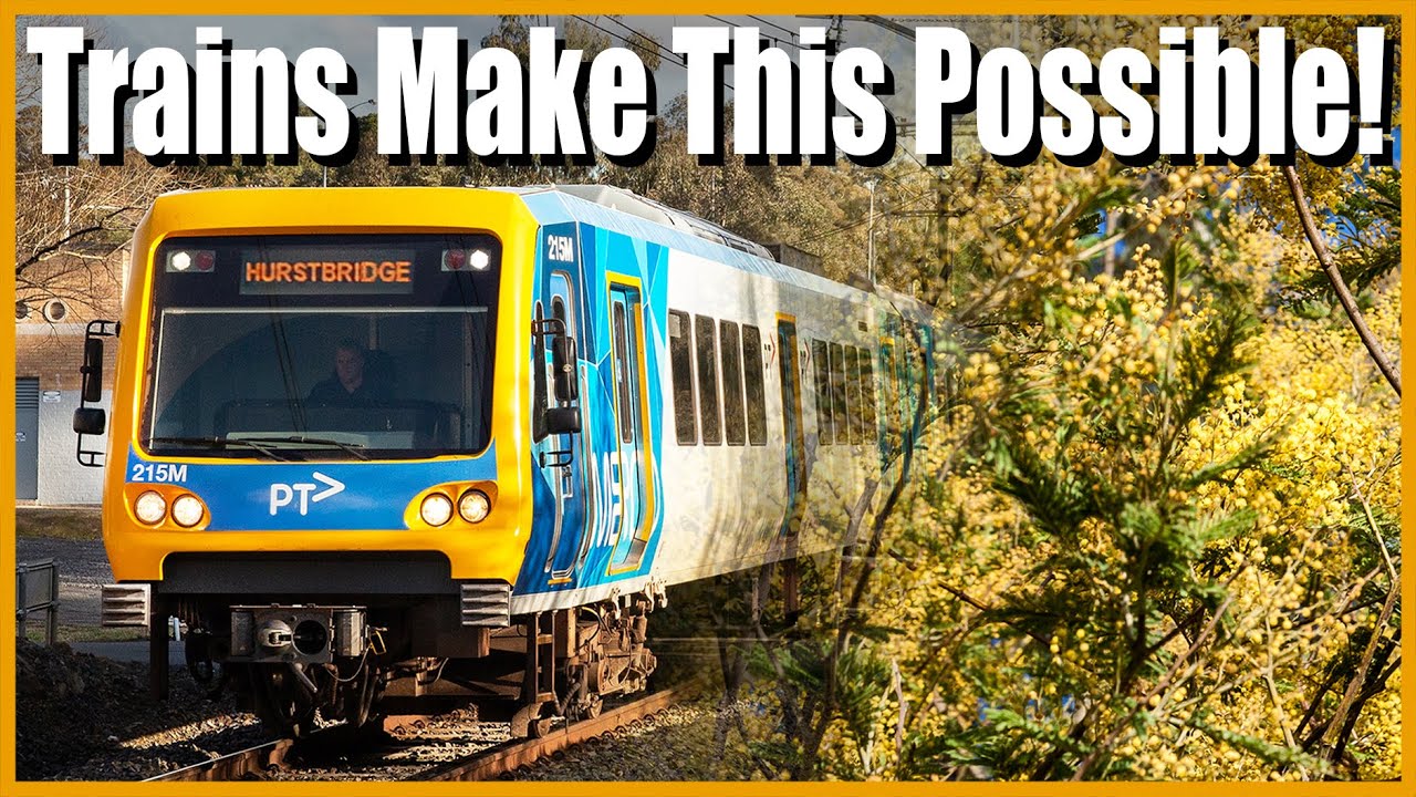 Trains/Capacity/Community - The Hurstbridge Wattle Festival