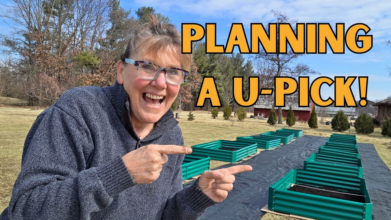 Starting a Pick Your Own Garden? Here’s How We Prepped 10 Beds