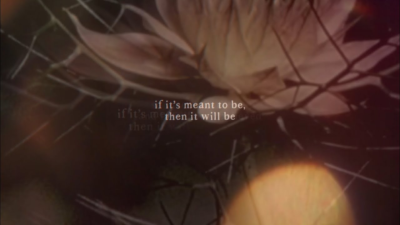 sun bleached flies (ethel cain) — cover by charli curtis