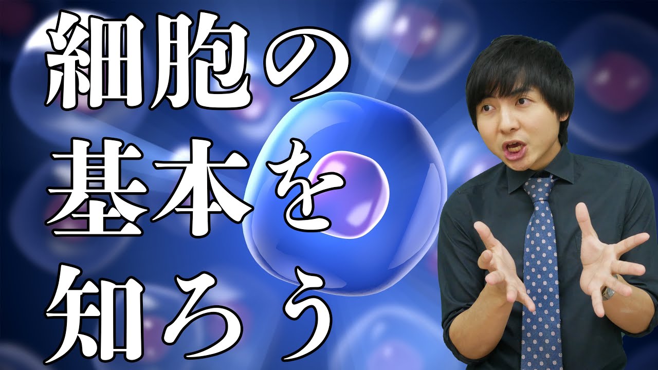 真核細胞と原核細胞【教養として学ぶ生物学】